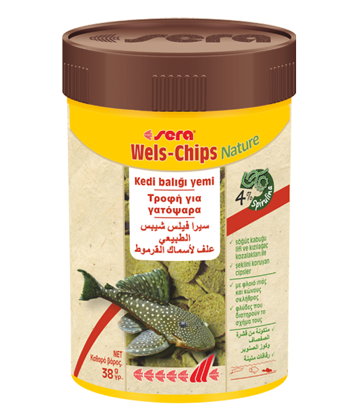 Sera Wels-Chips Nature Balık Yemi 100 ml