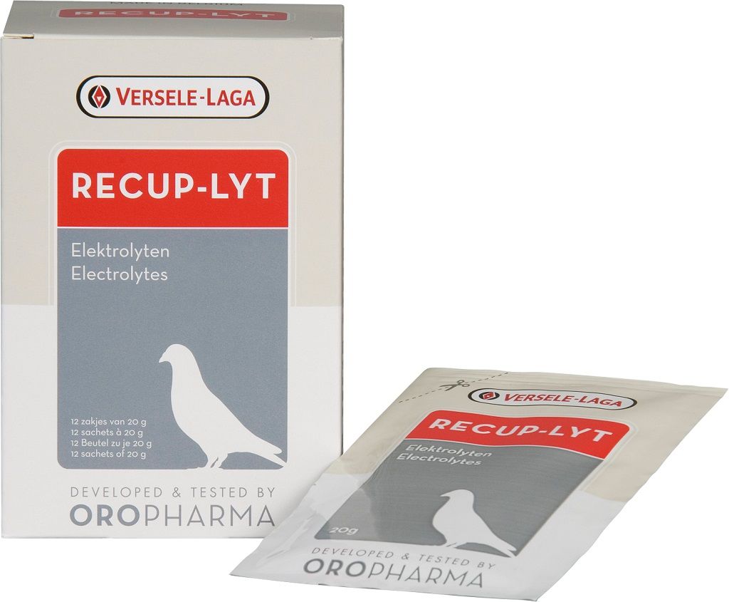 Versele-Laga Recup-Lyt Yarış Güvercini Elektrolik Destekli 240 gr