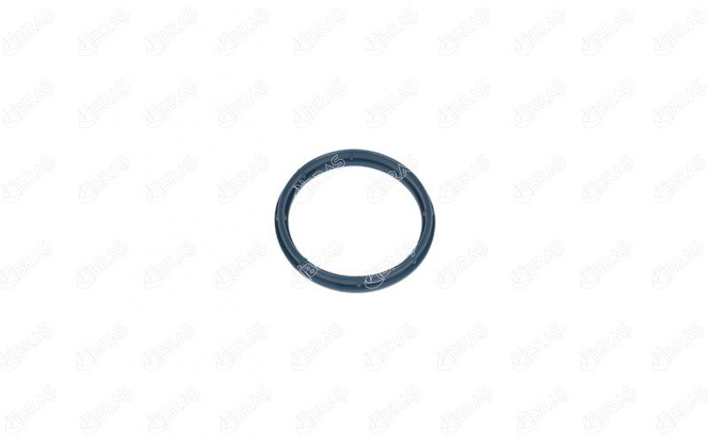 EMME MANIFOLD CONTASI CITROEN JUMPER PLATFORM ŞASI RELAY 2.2 HDI 120-IBRAS-9809876580