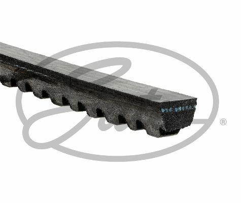 V KAYIŞI 10x1225La R12-FORD-PEUGEOT-DACIA 1310 SEDAN ROVER GD10AV1225-GATES 6229MC-7700664248-B00154910029972392