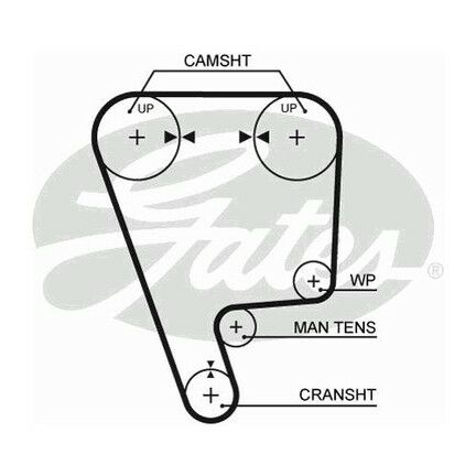x TRİGER KAYIŞI 129x240 HONDA CIVIV CRX 1.6 12/16V 83-92 INTEGRA 1.6 16V 86-89 CT722-GATES 5170XS-14400PG6004