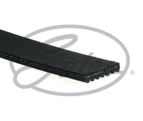 KANALLI V KAYIŞ MOVANO 03 06 2.2 CDTI 2.5 CDTI 16V MASTER 97 06 2.2 DCI 2.5DCI-GATES 7PK1103-4416361-93186955-8200465689