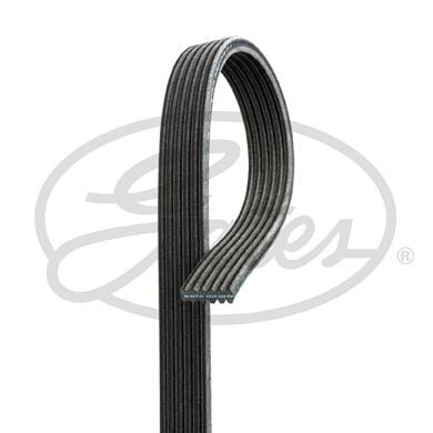 KANALLI KAYIS MERCEDES FORD CADILLAC JEEP CHRYSLER SAAB OPEL SSANGYONG-GATES 6PK1980-A0079978092-6PK1980