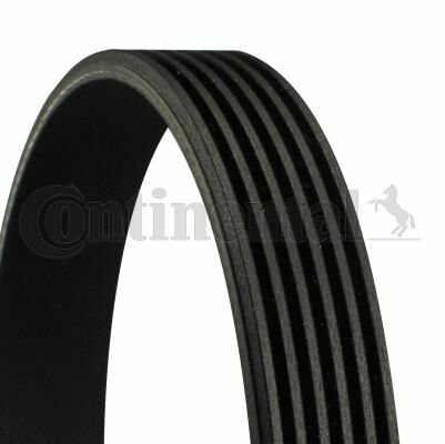 KANALLI KAYIŞ DUCATO-JUMPER-BOXER-TRANSİT 2.2 TDCİ-CONTI 6PK873ELAST-9658144580-9664069380-5750.XP