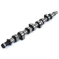 EKSANTRİK MİLİ EGSOZ P307 PARTNER Y.M 1.6 HDI-FORD FOCUS II 04 11 1.6 TDCI C-MAX 04 11 1.6 TDCI VOLVO C30 1.6D 06 12 S40 II 1.6D 06 12 S80 II 1.6D 10 12 V70 III 1.6 D 06 12 ÇELİK-GEMSAFT PTPRT07-0801.AH-1313805-3M5Q6A273AC-3071150