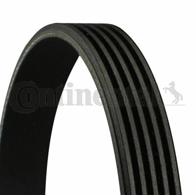 KANALLI KAYIŞ R11-R21-FLASH-MNGR-CONTI 5PK836-64552247183-64557786171-2247183