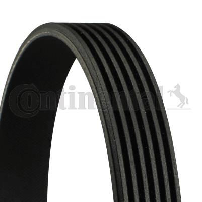 KANALLI KAYIŞ P108-P207-P208-P308-P508-P2008-P3008-P5008-PARTNER-BERLINGO-C1-C2-C3-C4-C5-DS3-DS4 1.4-1.6 THP-VTI-HDI OPEL ASTRA-CORSA VW CADDY II-A3-LEON-IBIZA-CLIO-SOLENZA 1.9 6PK903 6PK906-CONTITECH-5750.RG-1612351780-038903137
