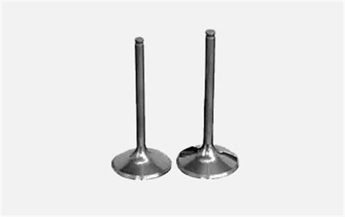 SUBAP EMME EGZOZ MASTER-MOVANO 2.5DCI-LGN 2.2 G9U 16V IN-8/EX-8-GUNES 3996-3997-7701472669-7701472670-4506083
