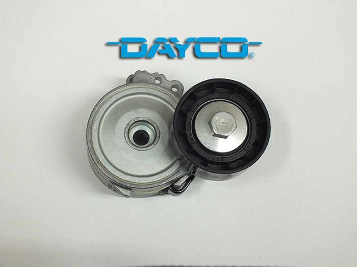 ALTERNATÖR GERGİ RULMANI KÜTÜKLÜ PARTNER-P206-306-307-BOXER-BERLINGO-JUMPY-JUMPER-DUCATO 1.9D-2.0D-HUTCHINSON T0216-5751.74-9636782780-9653522780