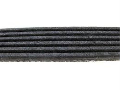 KANALLI KAYIŞ BOXER 2.5-JUMPY 1.6-SOLENZA-SCUDO-DUCATO 2.5-ASTRA F-CORSA B-CLIO I-II-KNG-CORDOBA-BANDO 6PK0895-128035