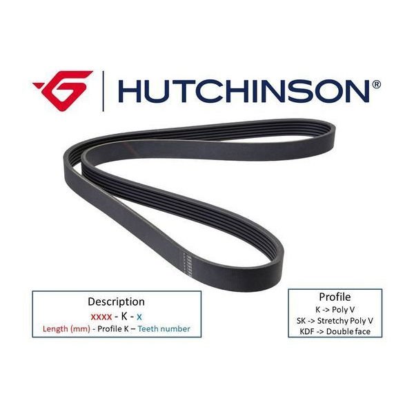 1336 K 6 KANALLI KAYIŞ BERLINGO-XSARA-FIESTA-FUSION-P206-TRANSPORTER IV-HUTCHINSON 6PK1336-5750.FX-074145933N-5750.VP