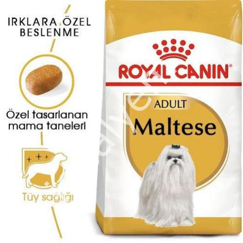 Royal Canin Maltese Terrier Yetişkin Köpek Maması 1,5kg