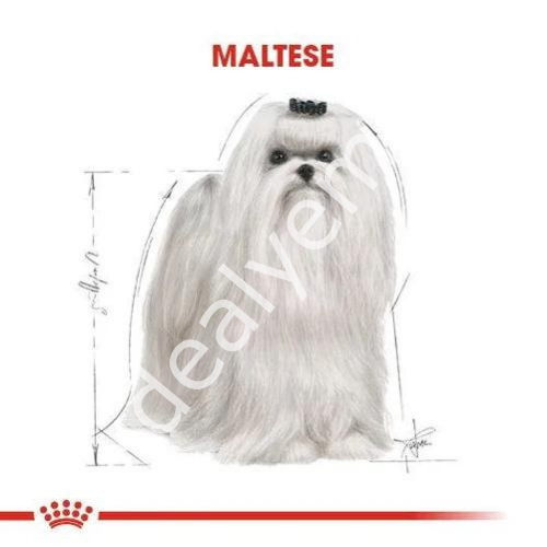Royal Canin Maltese Terrier Yetişkin Köpek Maması 1,5kg