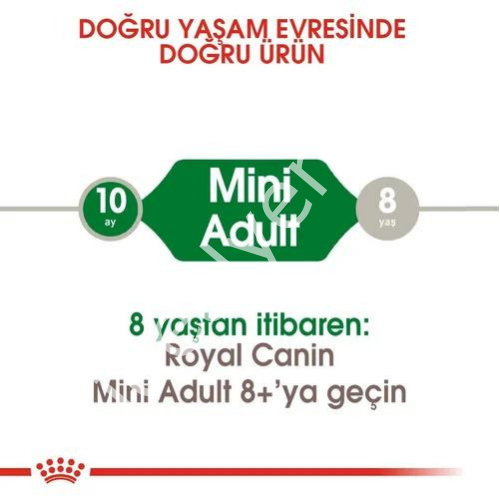 Royal Canin Mini Küçük Irk Yetişkin Köpek Maması 2 kg