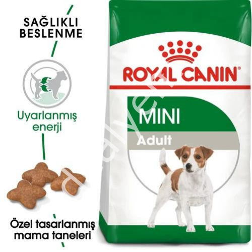 Royal Canin Mini Küçük Irk Yetişkin Köpek Maması 2 kg