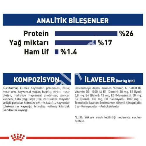 Royal Canin Maxi Büyük Irk Yetişkin Köpek Maması 15 kg