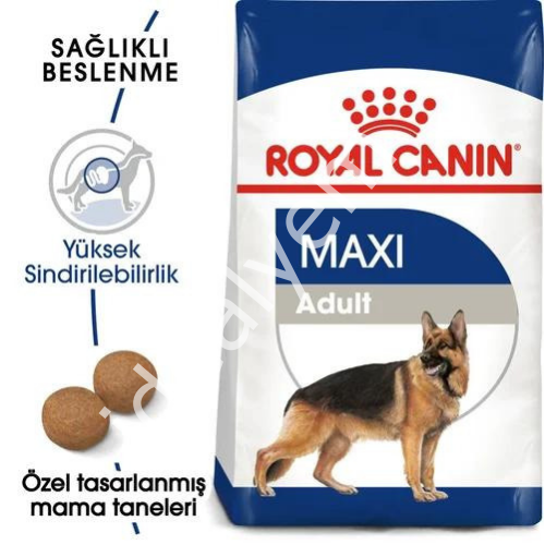 Royal Canin Maxi Büyük Irk Yetişkin Köpek Maması 15 kg