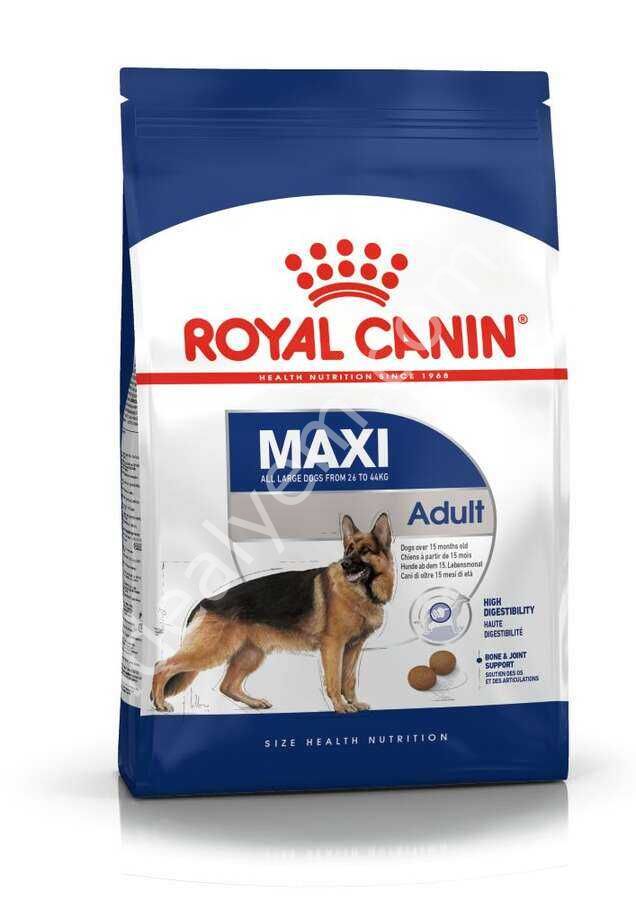 Royal Canin Maxi Büyük Irk Yetişkin Köpek Maması 15 kg