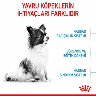 Royal Canin X-Small Küçük Irk Yavru Köpek Maması 1,5 kg