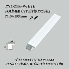 PNL-2530-WHITE Polimer Üst Bitiş Profili 25X30X2900mm