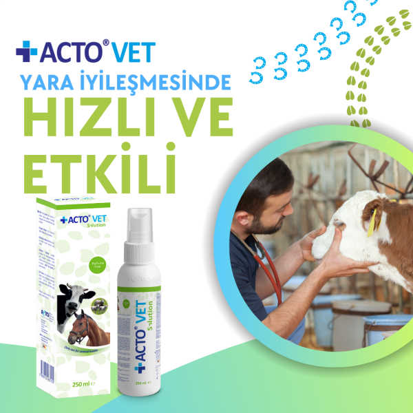 ACTO® VET SOLUTION 250 ml Büyükbaş Hayvanlar için Yara Bakım Solüsyonu