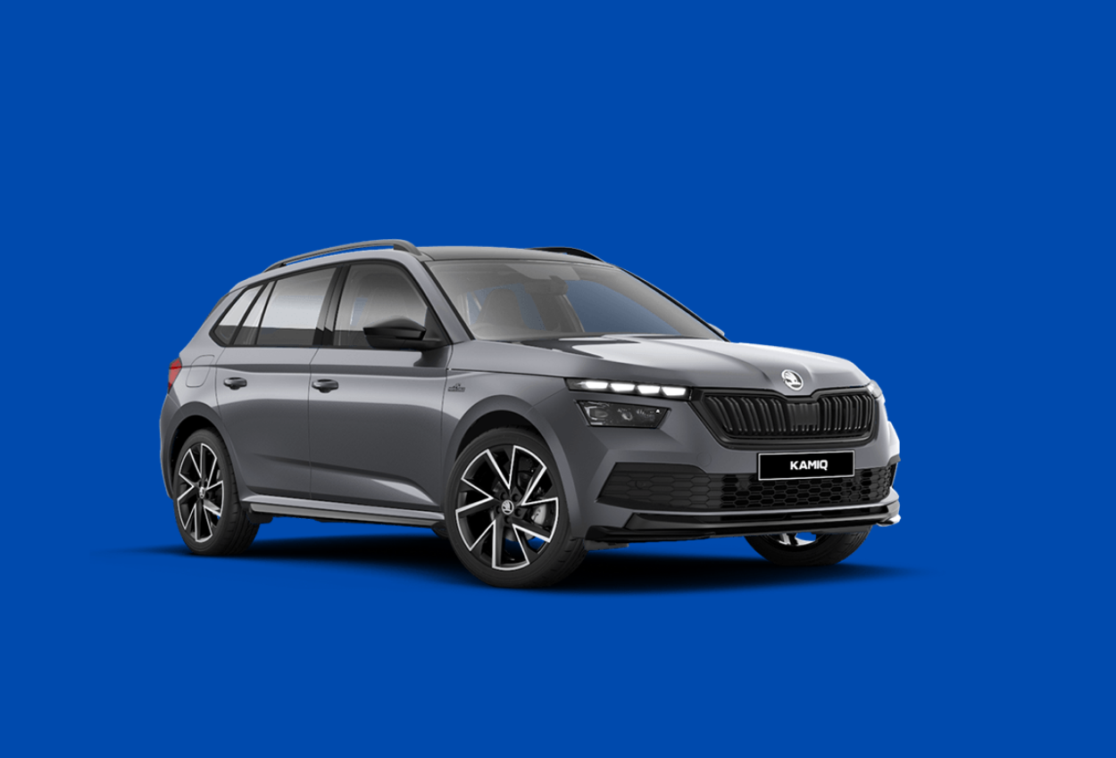 Skoda Kamiq Kronik Sorunları Nelerdir ?