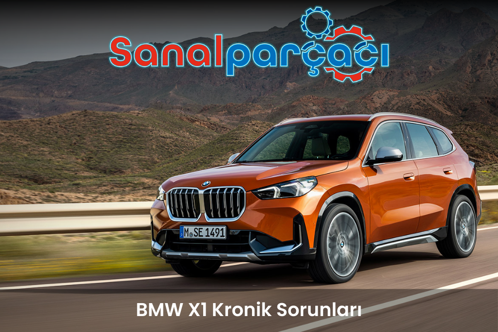 BMW X1 Chronic Problems