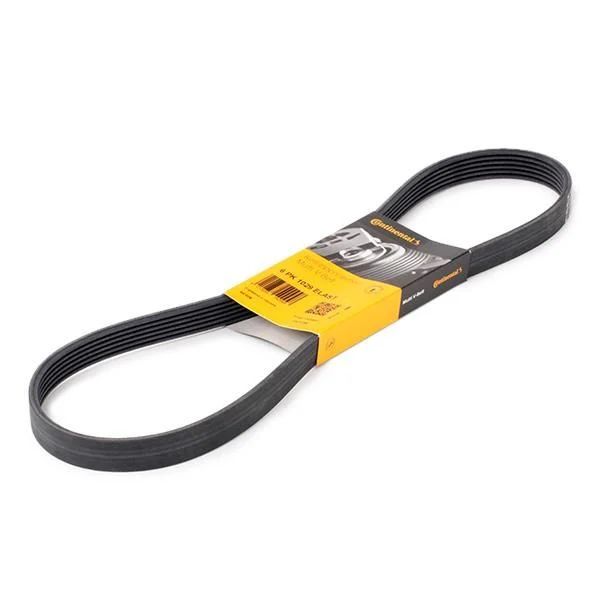 Ford Mondeo 2012-2018 1.25 Gasoline V Belt Continental Brand 6PK1029ELAST