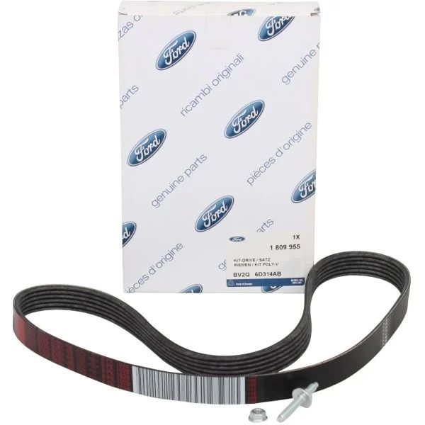 Ford Fiesta 2013-2018 1.25 Benzinli V Kayışı Ford Orijinal BV2Q6D314AB