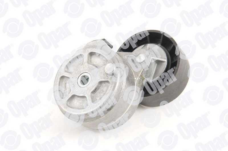 Fiat Fiorino 1.6 16V Alternatör Gergi Rulmanı Orijinal OPAR 71747798