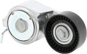 Fiat Palio Alternatör Gergi Rulmanı 1.2-1.6 / 8V-16V Orijinal OPAR 55258443