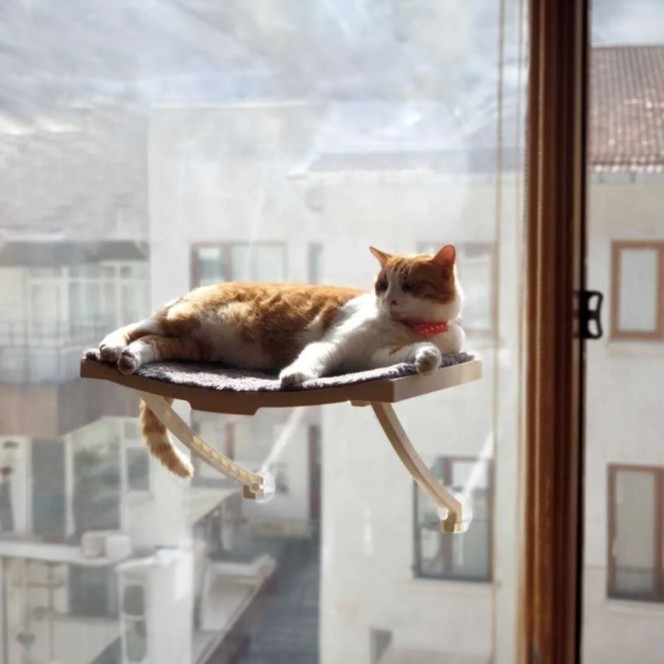 Cama Yapışan Kedi Yatağı