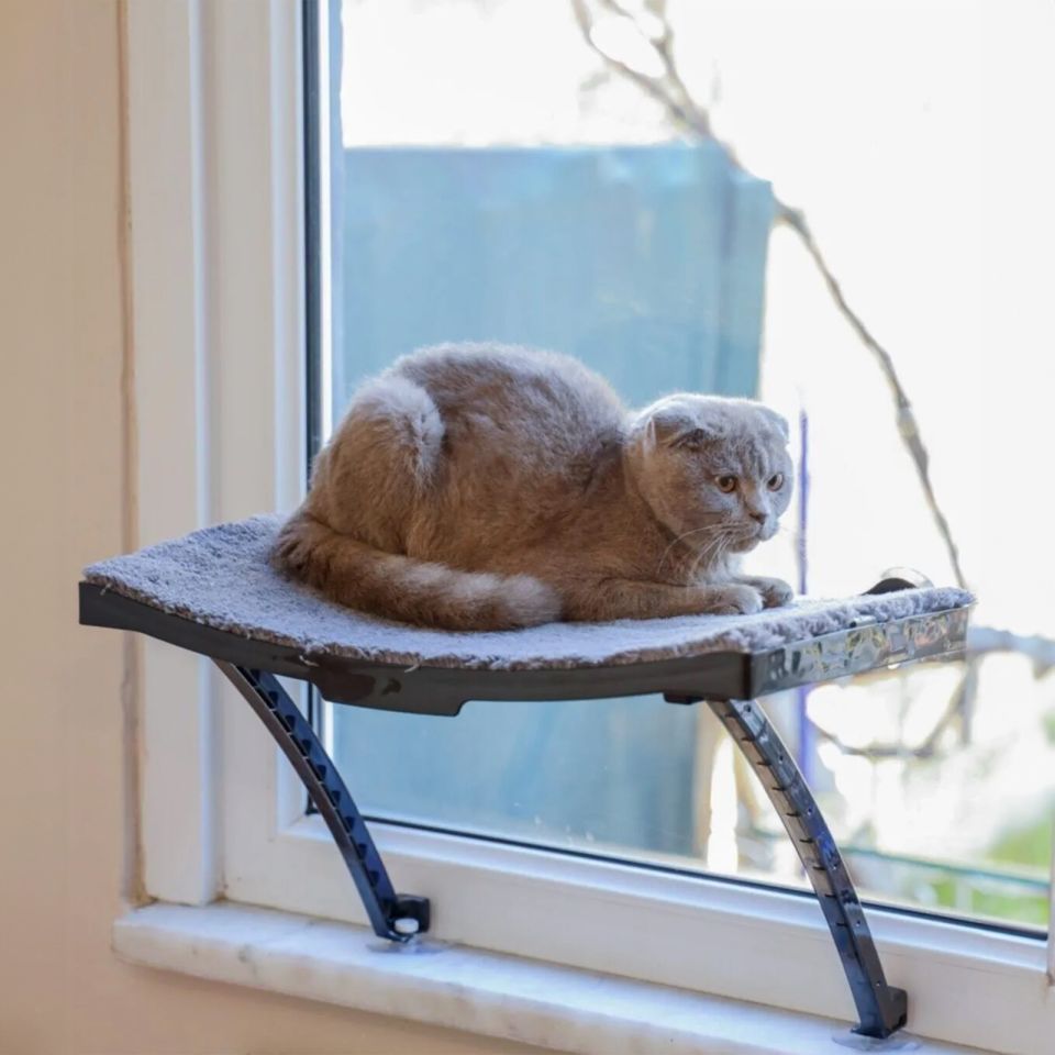 Cama Yapışan Kedi Yatağı