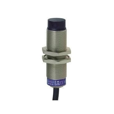 Telemecanique Sensors XS618B4MAL2 EvrenselM18 çıkık Kafa