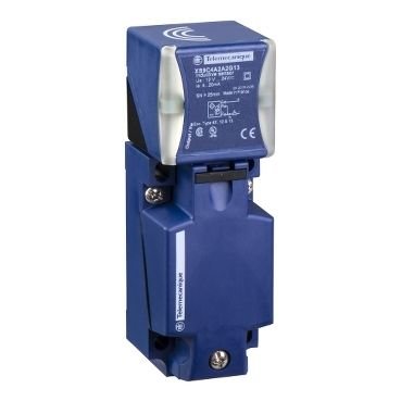Telemecanique Sensors XS9C4A2A2G13 Kübik Format