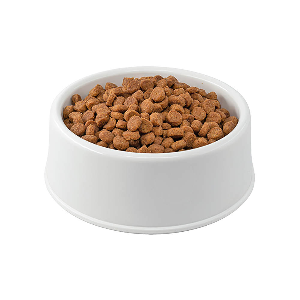 Pro Plan Tavuklu Kitten Yavru Açık Kedi Maması 1 Kg