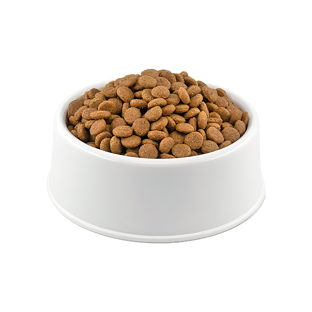 Pro Plan Elegant Somonlu Yetişkin Açık Kedi Maması 1 Kg