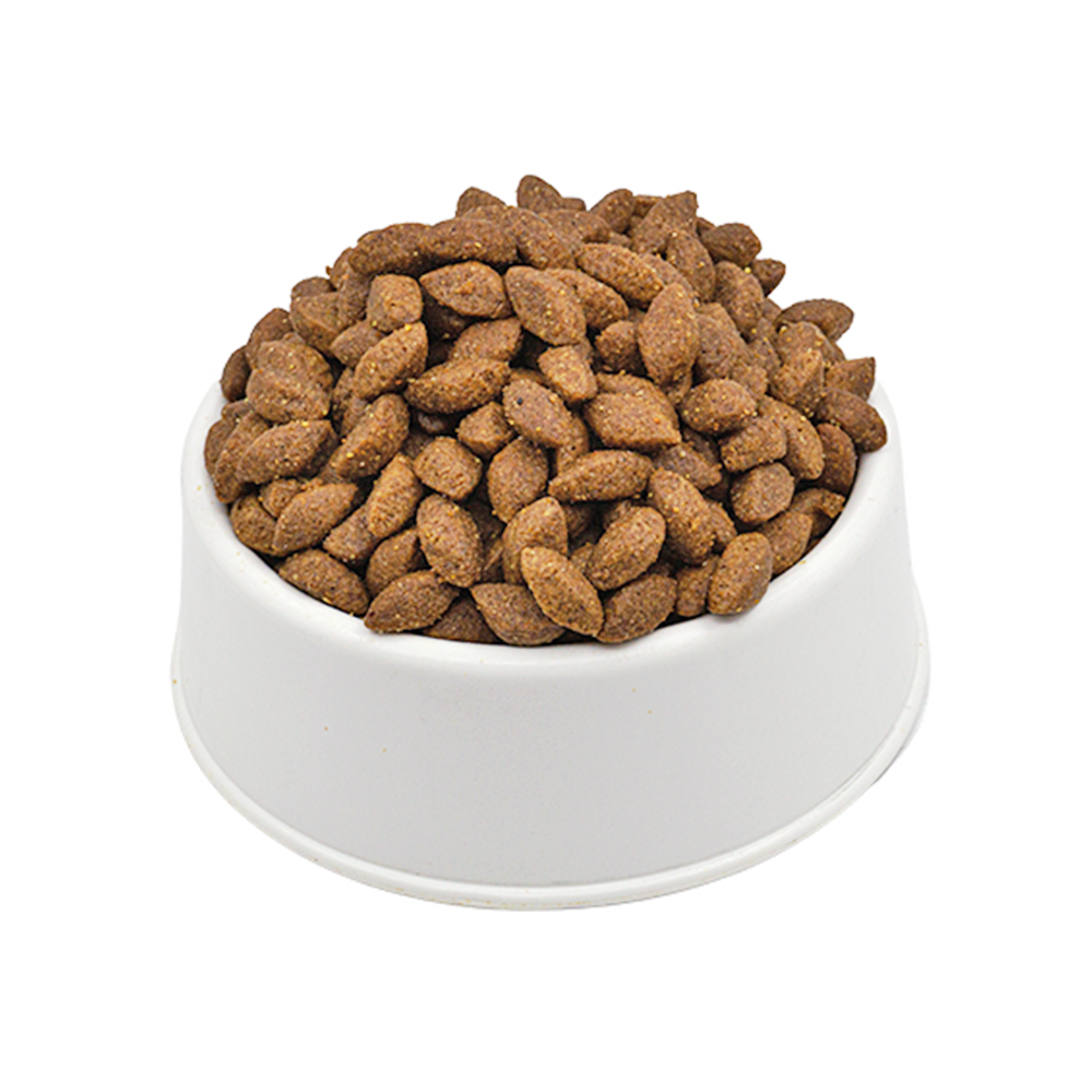 Pro Plan Kuzu Etli Yetişkin Açık Köpek Maması 1 Kg