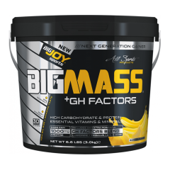 Bigjoy Sports Bigmass Mass Gainer Gh Factors 3000 Gr