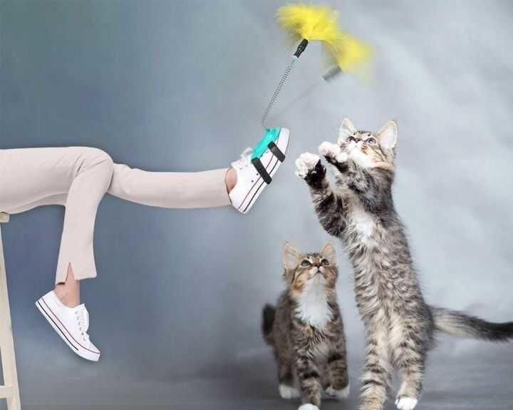 Kedi Oyuncağı Ayak Oltası