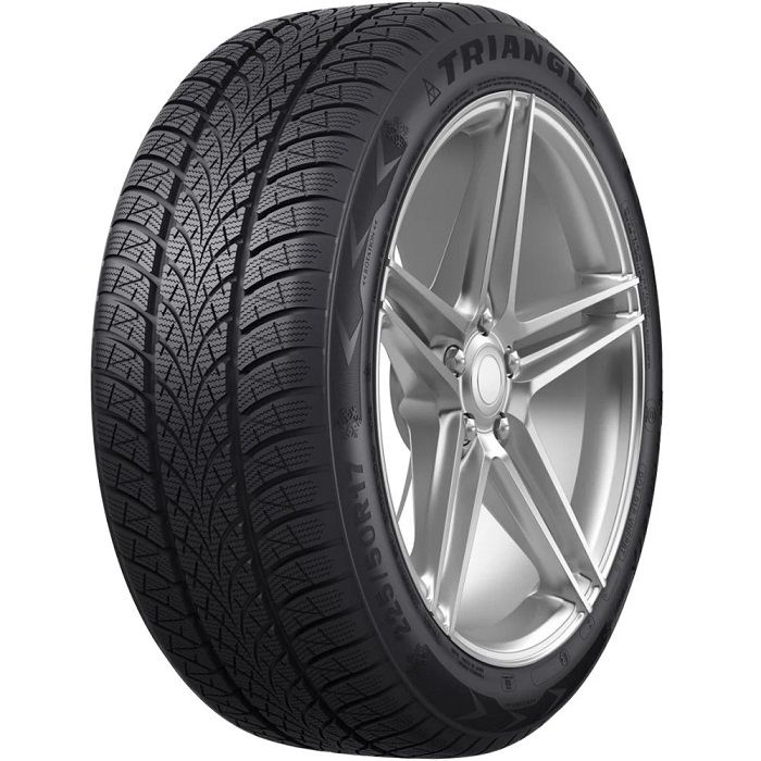 Triangle 205/50R17 93V XL WinterX TW401 (Kış) (2024)