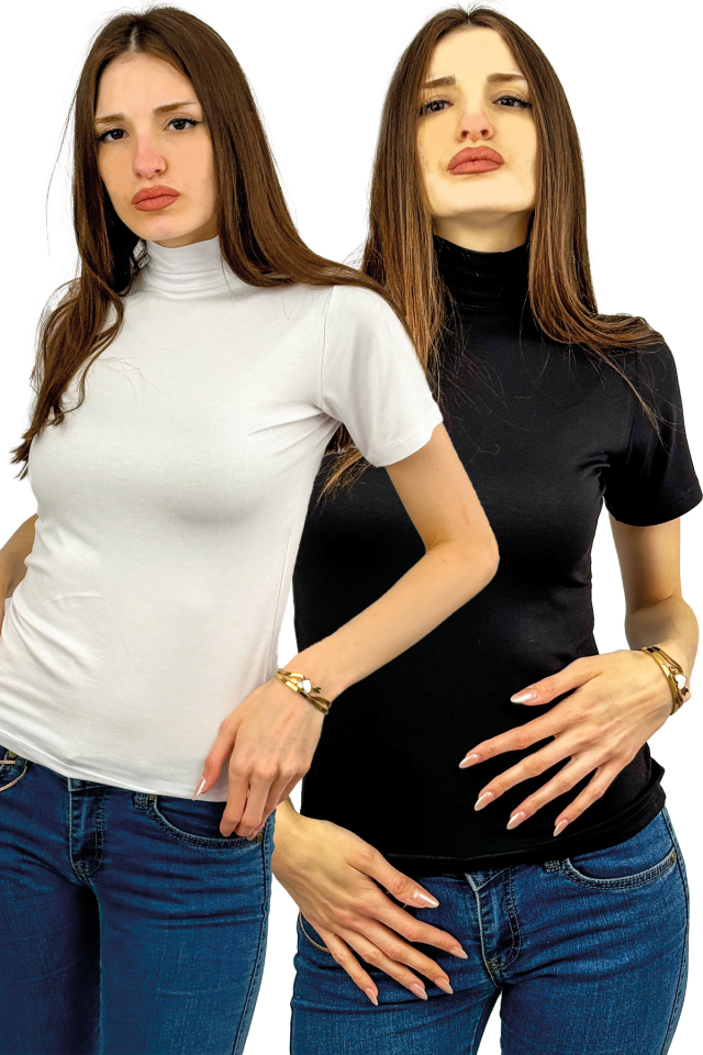 Kadın Kısa Kol Yarım Balıkçı Boğazlı Body 2 Adet Karışık - S/M