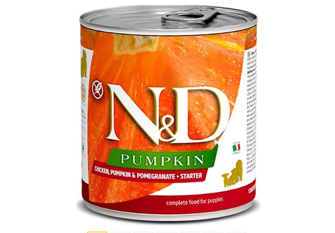 N&D Pumpkin Starter Tavuk Etli Balkabaklı ve Narlı 285 Yavru Konserve Köpek Maması