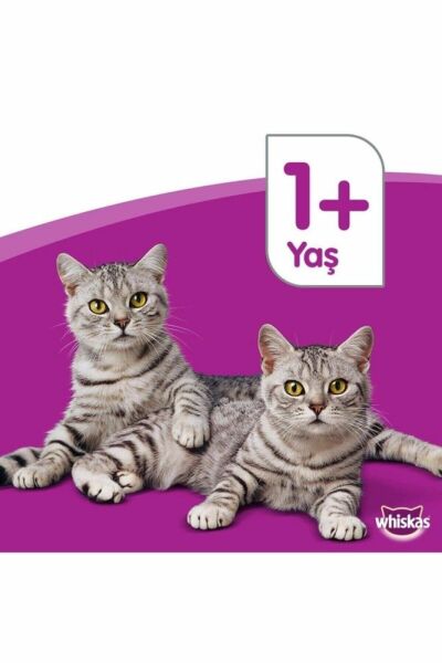 Whiskas Tavuklu ve Sebzeli 1.4 kg Yetişkin Kuru Kedi Maması