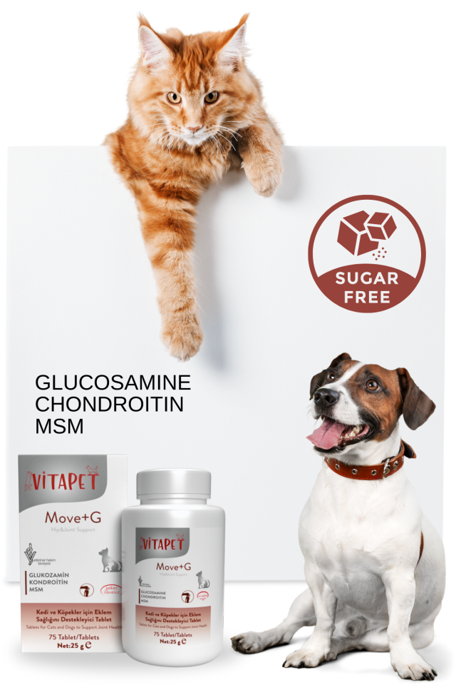 Vitapet Move+g Glucosamine Tablet (Kedi ve Köpekler İçin Eklem Ve Kas Desteği)