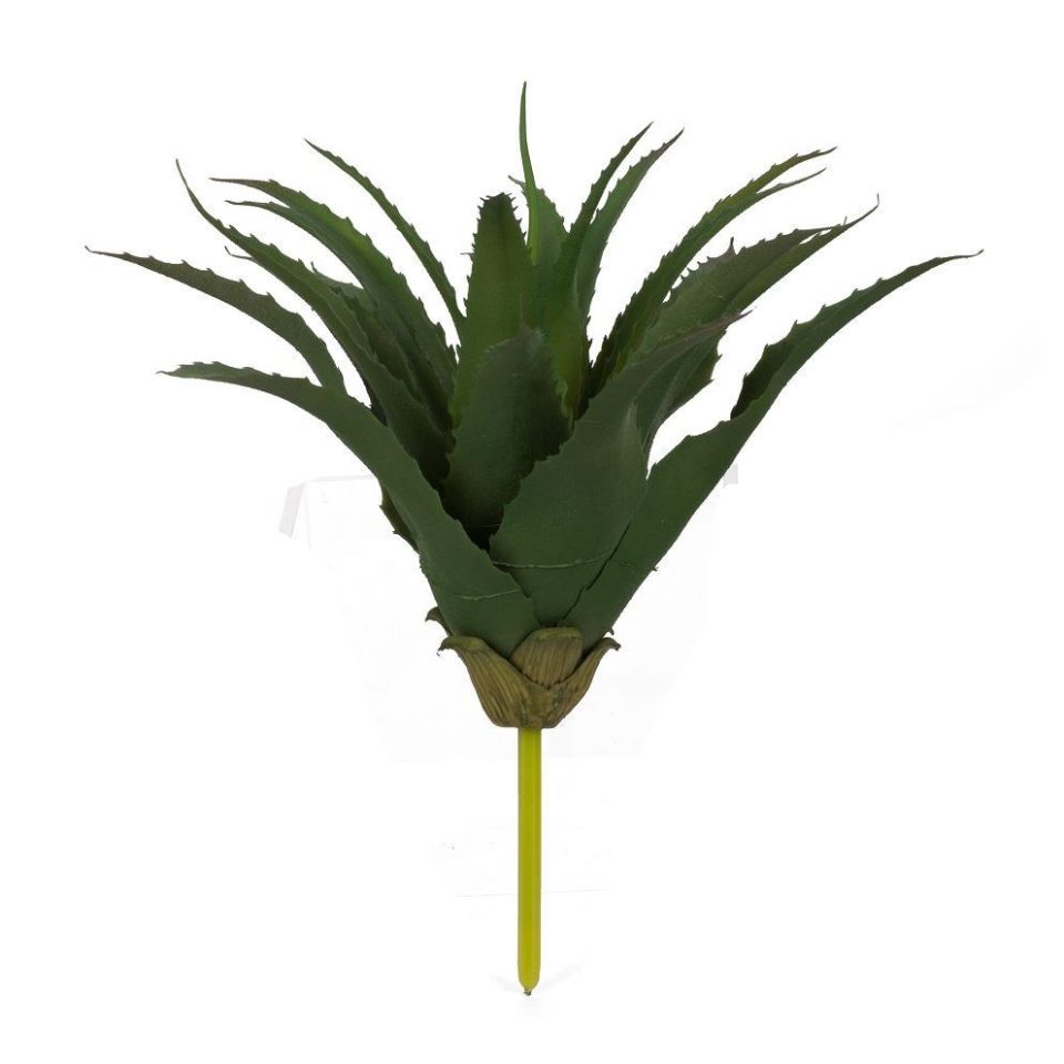 Aloe Dekoratif Çiçek