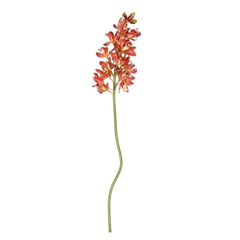 Orkide Dekoratif Çiçek