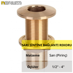 SARI SİNTİNE BAĞLANTI REKORU