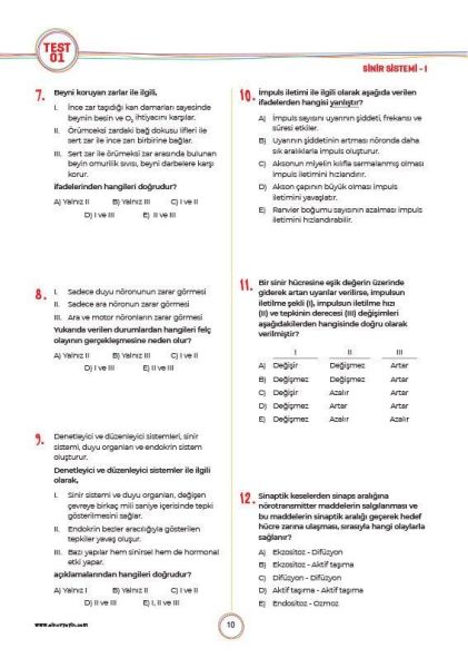 Sınav Yayınları 11. Sınıf Biyoloji Soru Bankası