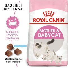 Royal Canin Babycat Yavru Kedi Maması 4Kg
